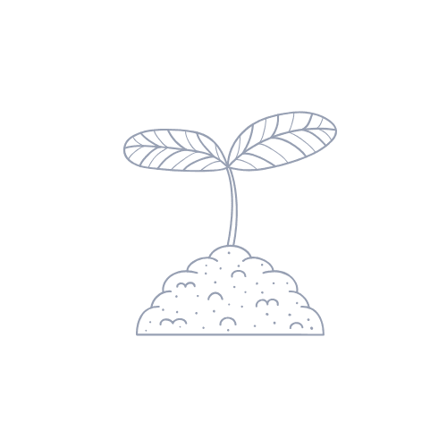 Leaf sprout icon representing growth and readiness for soulful web design