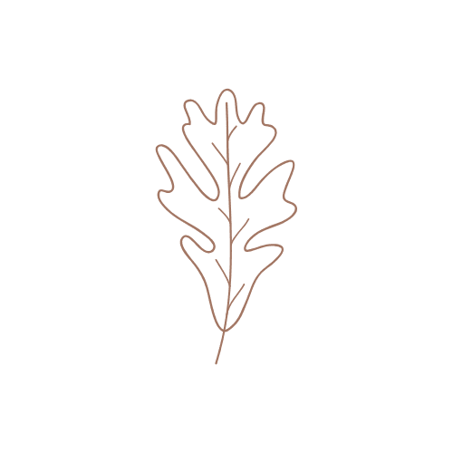 Leaf icon representing letting go during equinox as part of soulful marketing.