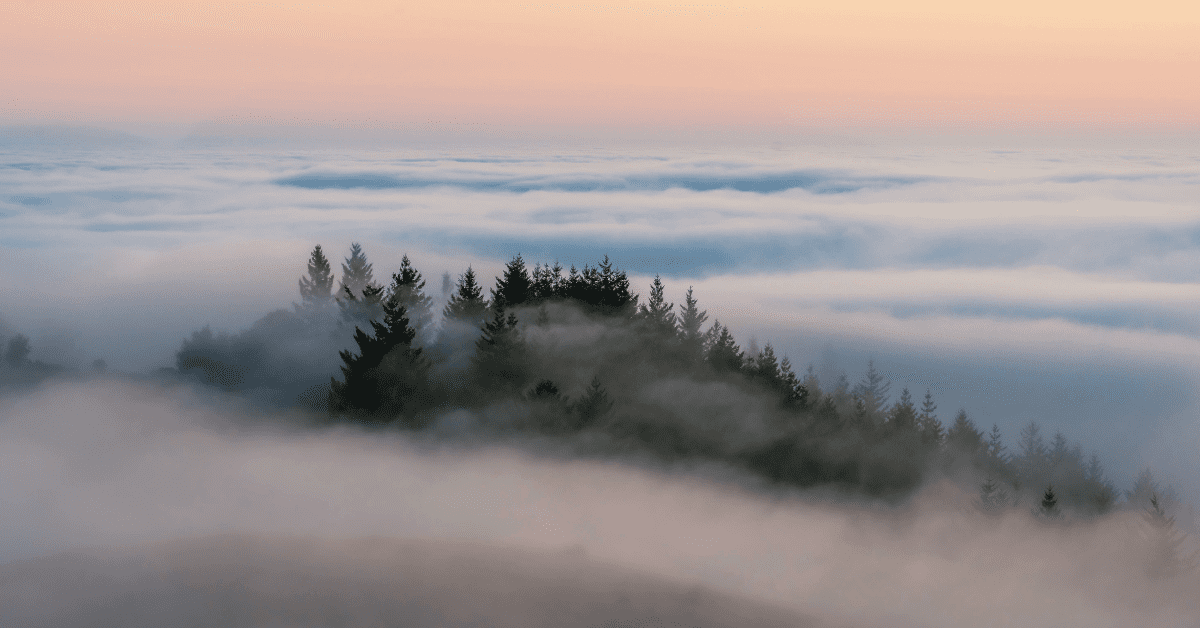 brand clarity as a journey through fog — soft morning light over a quiet landscape, symbolizing finding truth and resonance in business